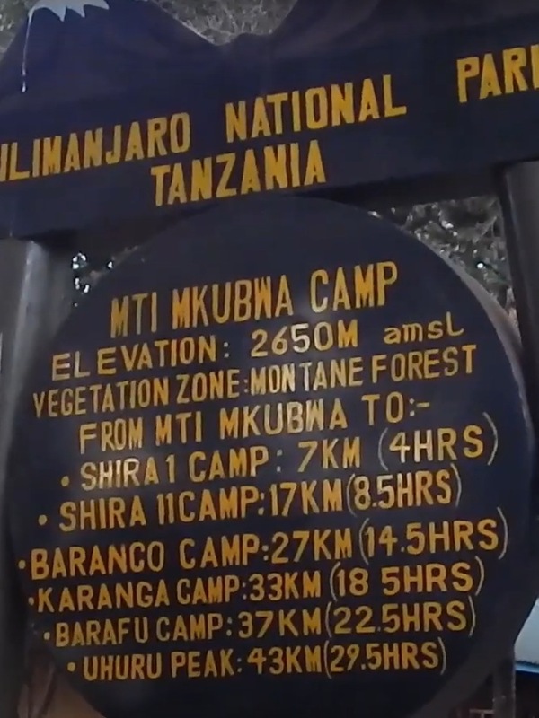 Big Tree (Mti Mkubwa) Camp sign