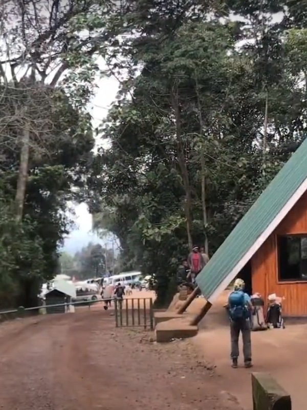 Mweka Gate